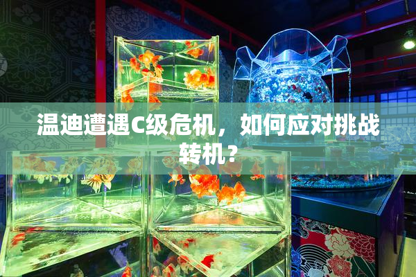 温迪遭遇C级危机，如何应对挑战转机？