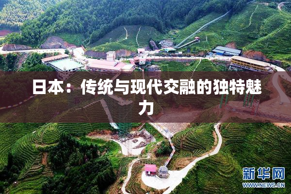 日本：传统与现代交融的独特魅力