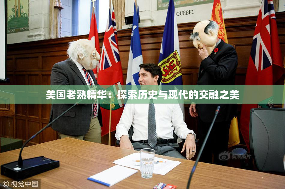 美国老熟精华：探索历史与现代的交融之美