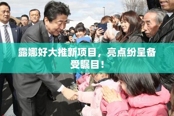 露娜好大推新项目，亮点纷呈备受瞩目！