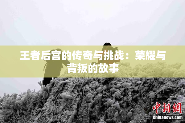 王者后宫的传奇与挑战：荣耀与背叛的故事