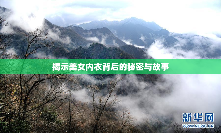 揭示美女内衣背后的秘密与故事