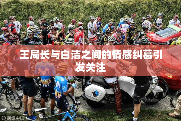 王局长与白洁之间的情感纠葛引发关注