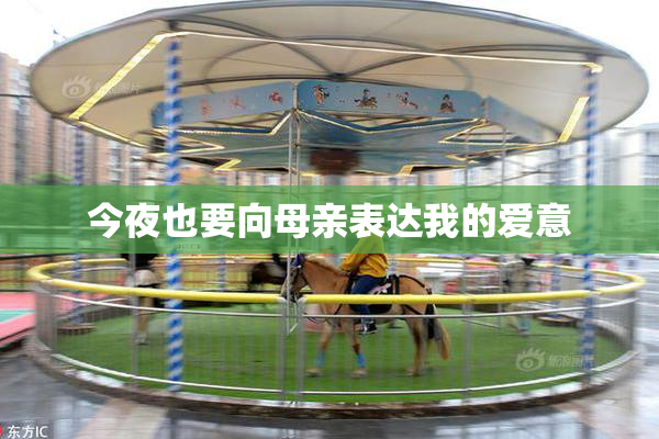 今夜也要向母亲表达我的爱意