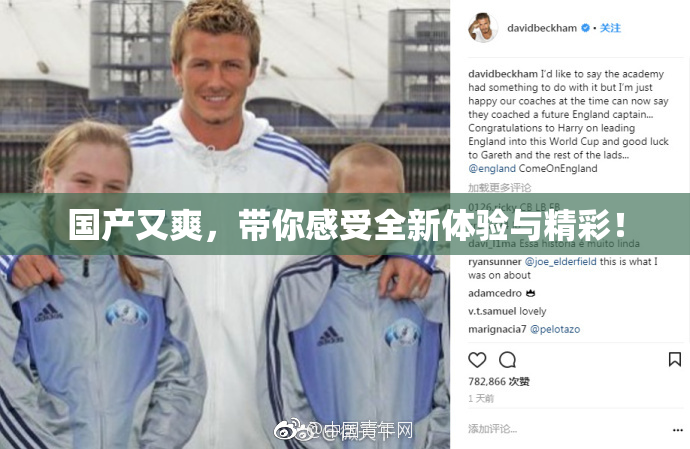 国产又爽，带你感受全新体验与精彩！