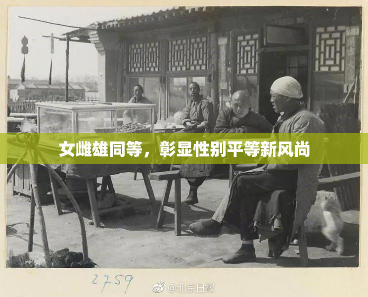 女雌雄同等，彰显性别平等新风尚