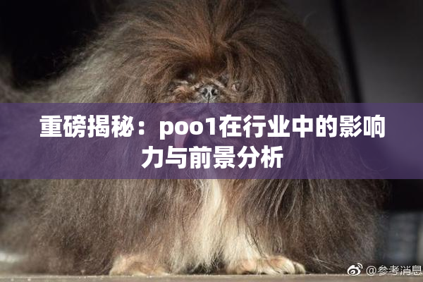 重磅揭秘：poo1在行业中的影响力与前景分析