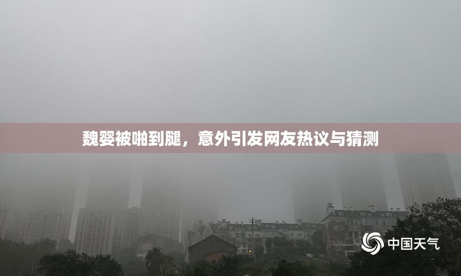 魏婴被啪到腿，意外引发网友热议与猜测