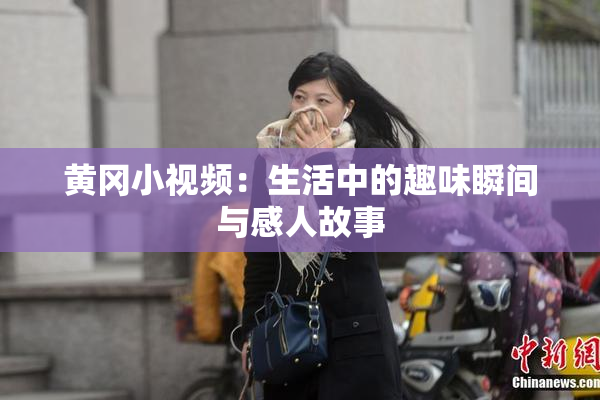 黄冈小视频：生活中的趣味瞬间与感人故事