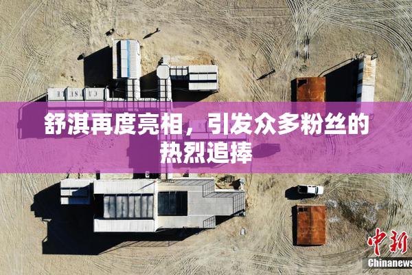 舒淇再度亮相，引发众多粉丝的热烈追捧
