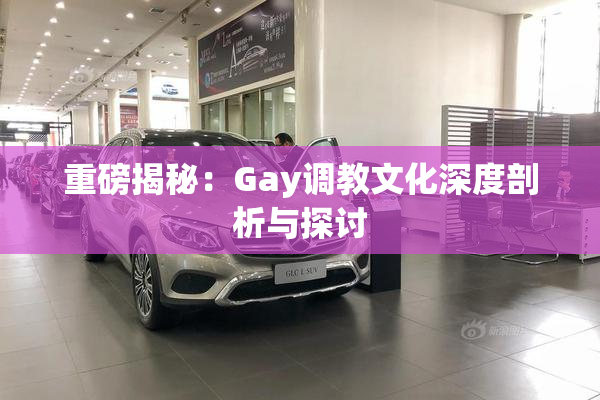 重磅揭秘：Gay调教文化深度剖析与探讨