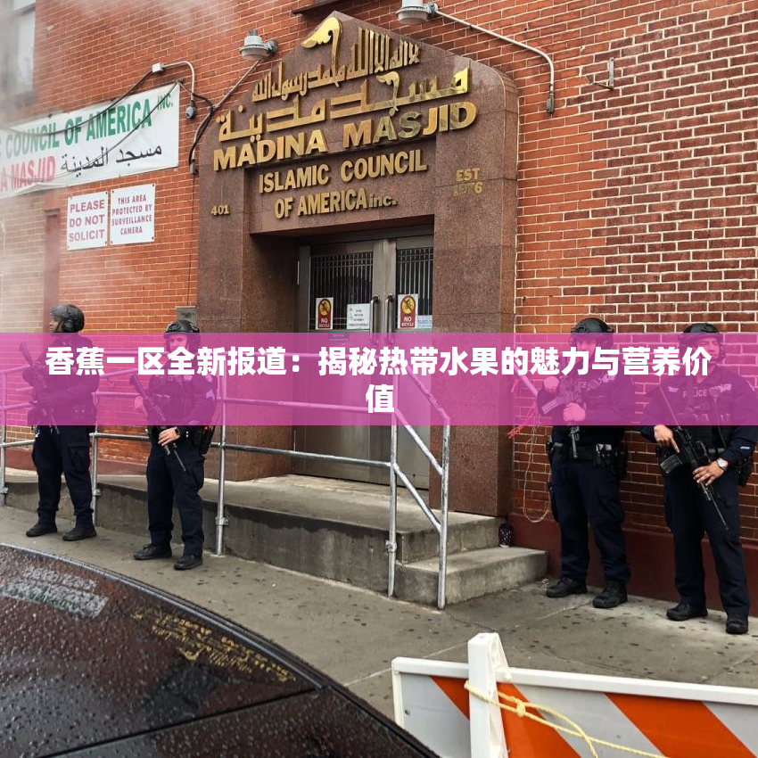 香蕉一区全新报道：揭秘热带水果的魅力与营养价值