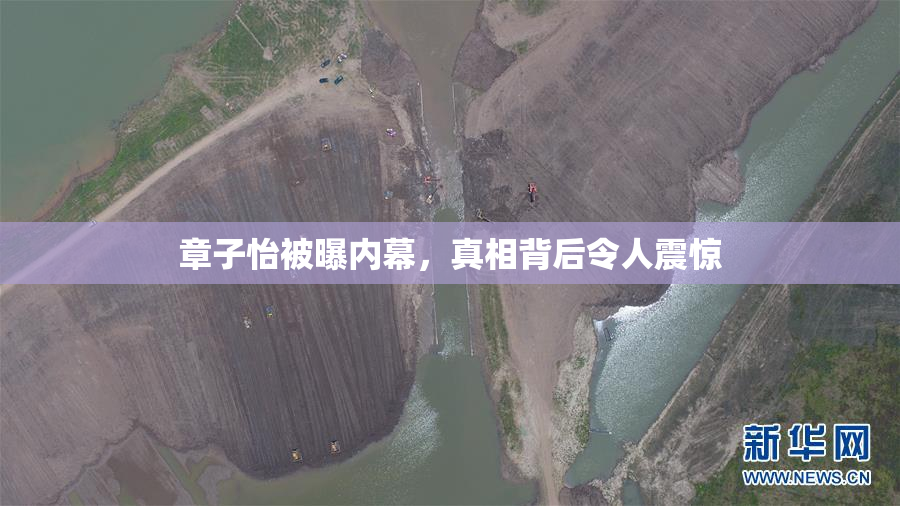 章子怡被曝内幕，真相背后令人震惊