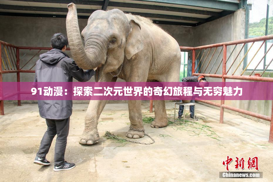 91动漫：探索二次元世界的奇幻旅程与无穷魅力