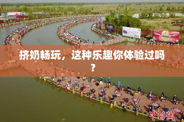 挤奶畅玩，这种乐趣你体验过吗？