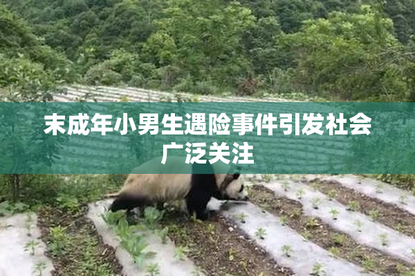 末成年小男生遇险事件引发社会广泛关注