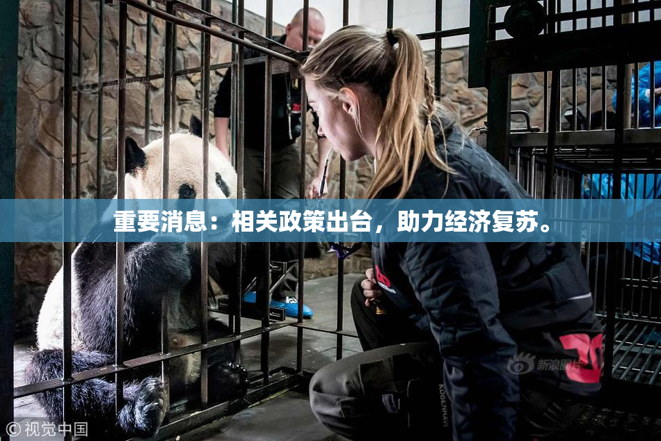 重要消息：相关政策出台，助力经济复苏。