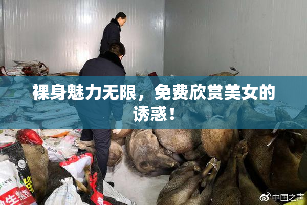 裸身魅力无限，免费欣赏美女的诱惑！