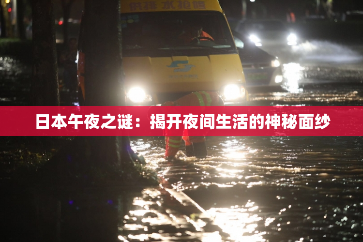 日本午夜之谜：揭开夜间生活的神秘面纱
