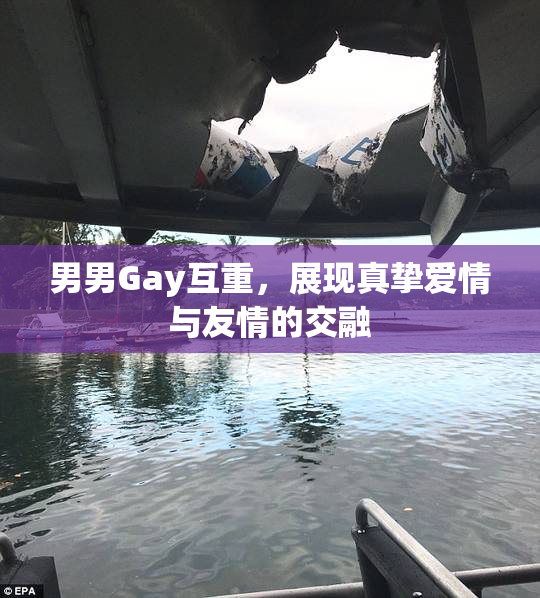 男男Gay互重，展现真挚爱情与友情的交融