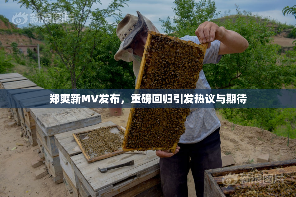 郑爽新MV发布，重磅回归引发热议与期待