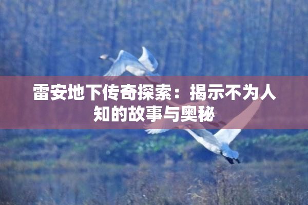 雷安地下传奇探索：揭示不为人知的故事与奥秘