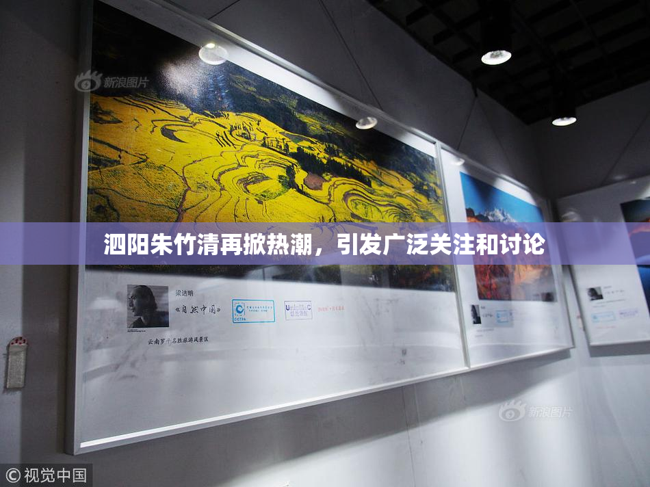 泗阳朱竹清再掀热潮，引发广泛关注和讨论