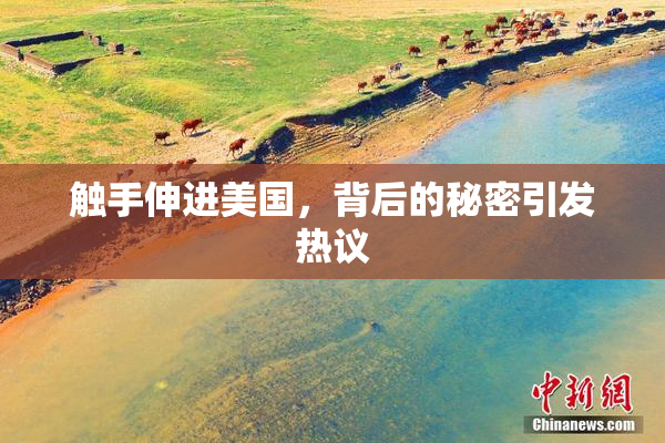 触手伸进美国，背后的秘密引发热议