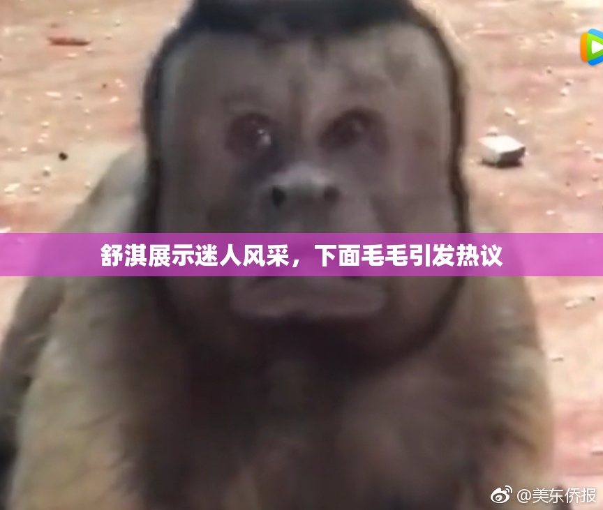 舒淇展示迷人风采，下面毛毛引发热议