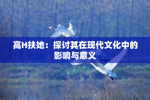 高H扶她：探讨其在现代文化中的影响与意义