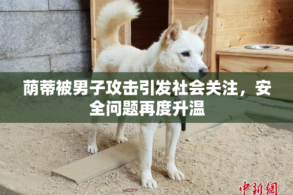 荫蒂被男子攻击引发社会关注，安全问题再度升温