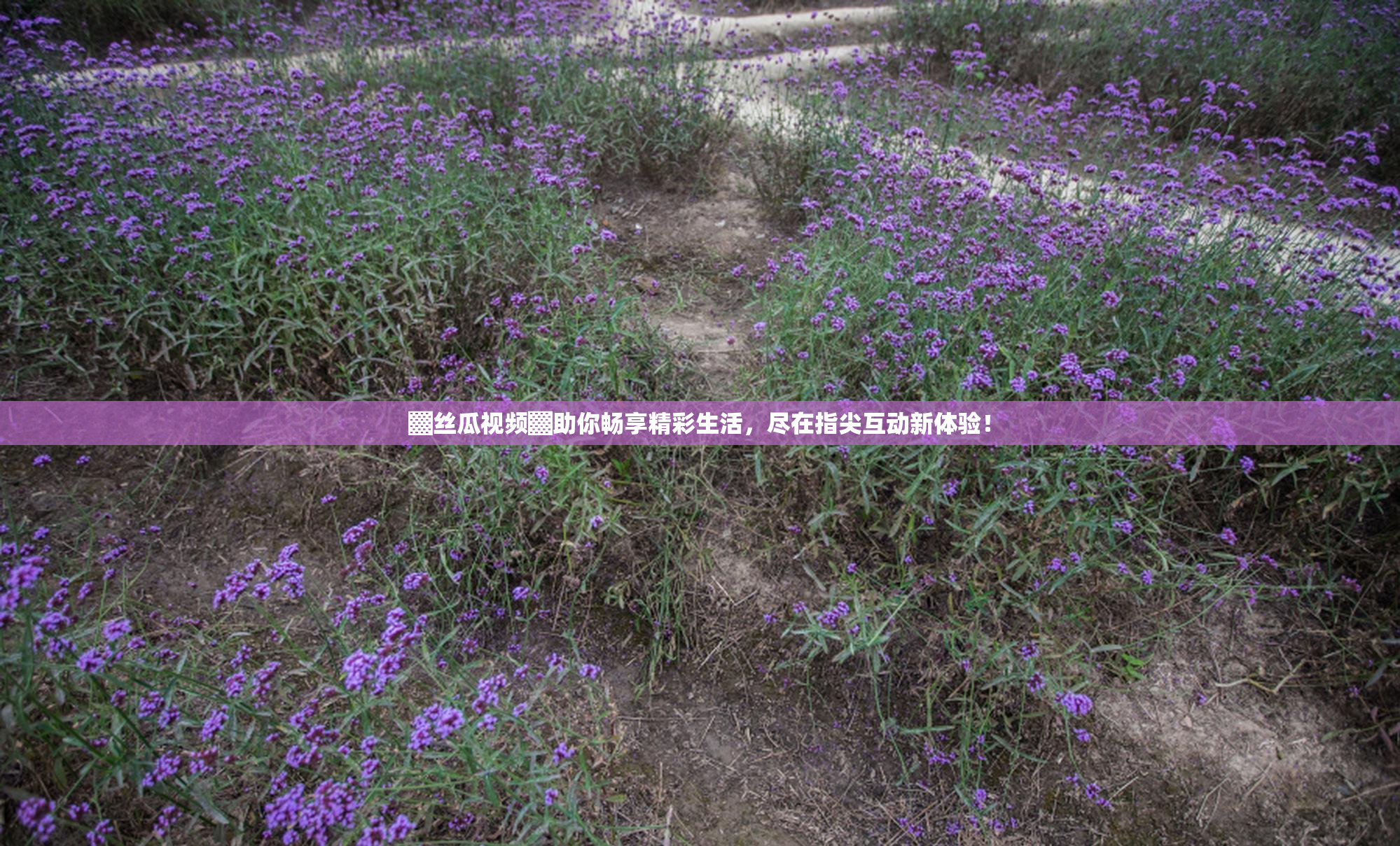 ▓丝瓜视频▓助你畅享精彩生活，尽在指尖互动新体验！