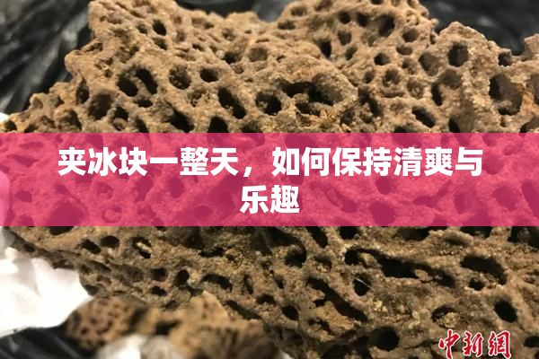 夹冰块一整天，如何保持清爽与乐趣