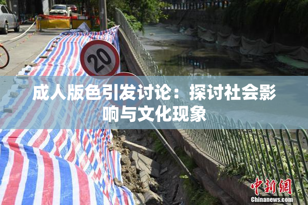 成人版色引发讨论：探讨社会影响与文化现象