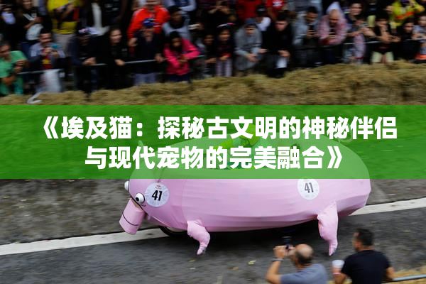 《埃及猫：探秘古文明的神秘伴侣与现代宠物的完美融合》