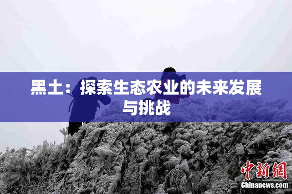 黑土：探索生态农业的未来发展与挑战