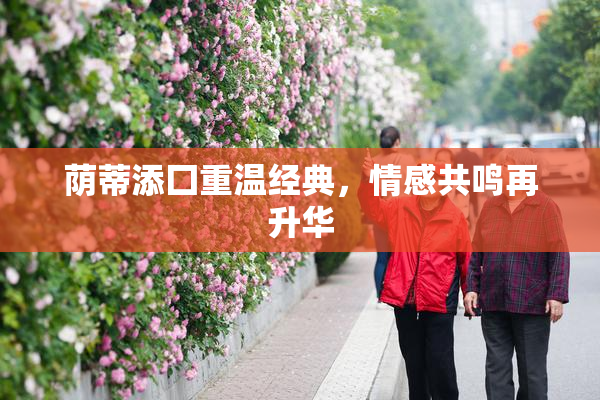 荫蒂添囗重温经典，情感共鸣再升华