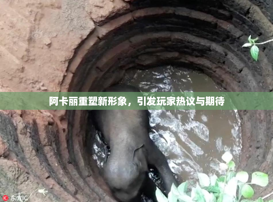 阿卡丽重塑新形象，引发玩家热议与期待