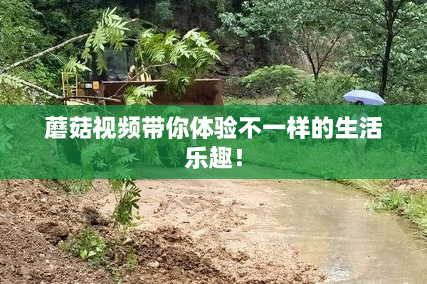 蘑菇视频带你体验不一样的生活乐趣！