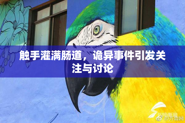 触手灌满肠道，诡异事件引发关注与讨论
