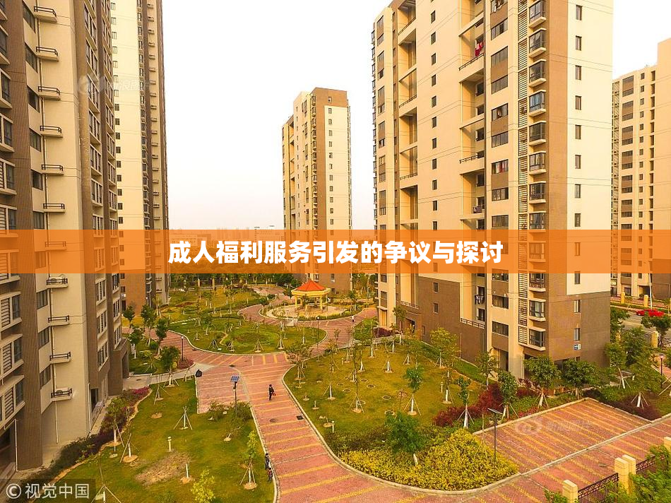成人福利服务引发的争议与探讨
