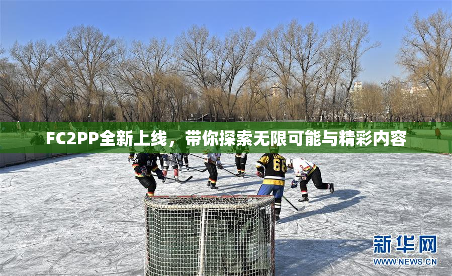 FC2PP全新上线，带你探索无限可能与精彩内容