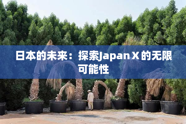 日本的未来：探索JapanⅩ的无限可能性