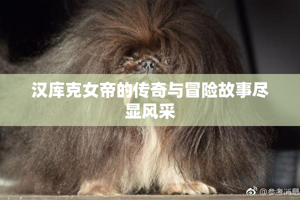 汉库克女帝的传奇与冒险故事尽显风采