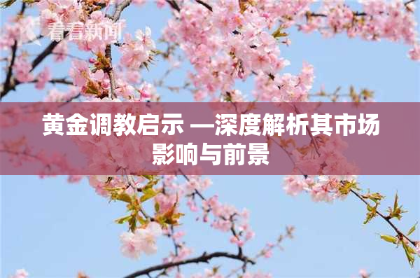 黄金调教启示 —深度解析其市场影响与前景