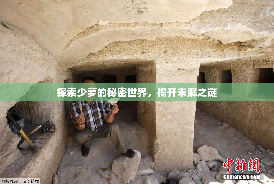 探索少萝的秘密世界，揭开未解之谜