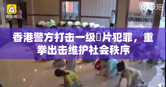 香港警方打击一级婬片犯罪，重拳出击维护社会秩序