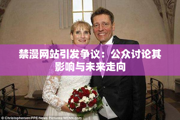 禁漫网站引发争议：公众讨论其影响与未来走向