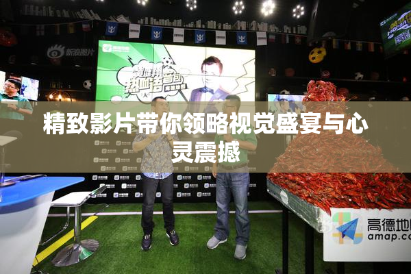精致影片带你领略视觉盛宴与心灵震撼