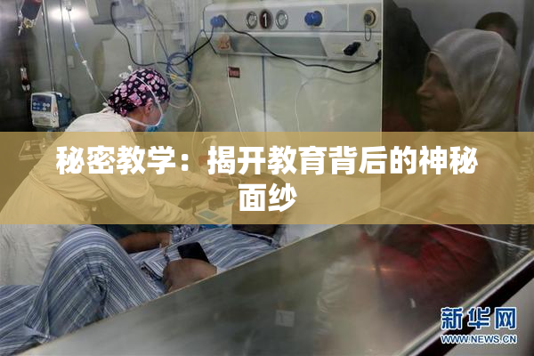秘密教学：揭开教育背后的神秘面纱
